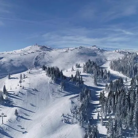 아파트 Oaza Mira 페일